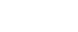 IPN, Instituto Pedro Nunes