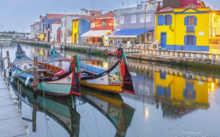 Moliceiro is the name given to the boats that circulate in the Ria de Aveiro, lagoon region of Rio Vouga. This vessel was originally used for harvesting the moliço, but currently more used for tourist purposes. Moliço is the name given to aquatic plants that are harvested for use in agriculture. This word comes from the Latin mollis, which expresses soft quality. The designation of moliço is generally used for vascular plants that grow submerged in salt water, which in English are called seagrass.