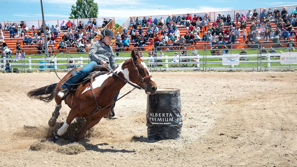 Alberta has a deep history in ranching. Some Albertans continue this vocation as well as compete in local rodeos during the summer months. This barrel racer rounds the turn in a race for the fastest time around 3 barrels.